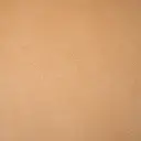 意大利 Art.webp
