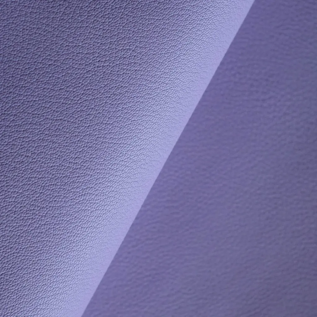 Chèvre Sully 羊皮-9.webp