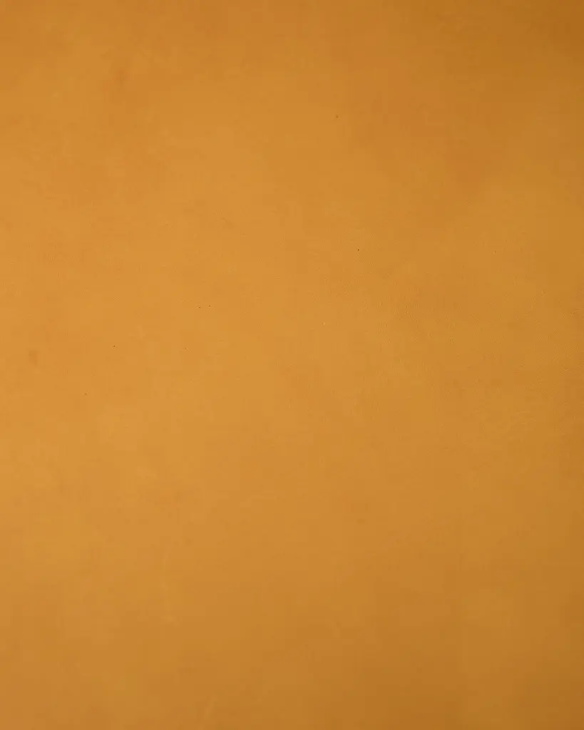 Art-5.webp