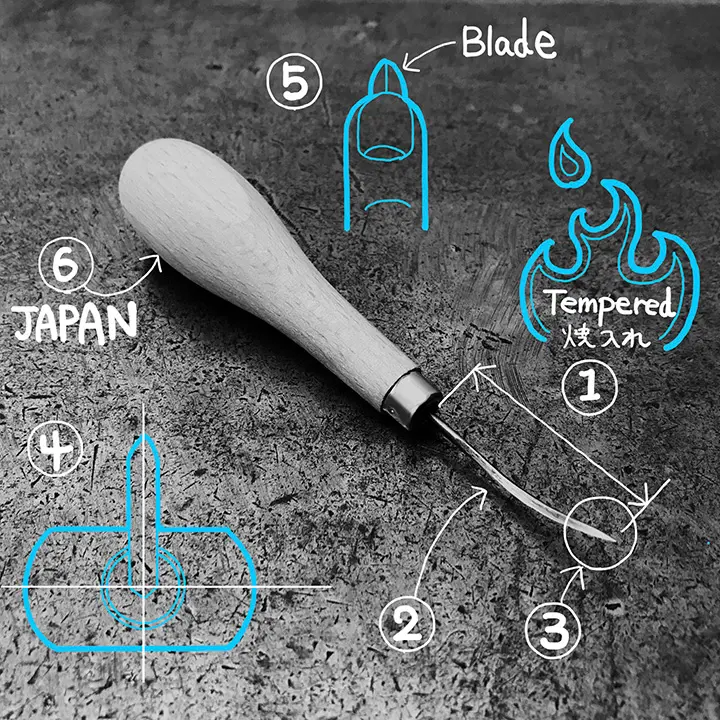 日本曲錐.webp
