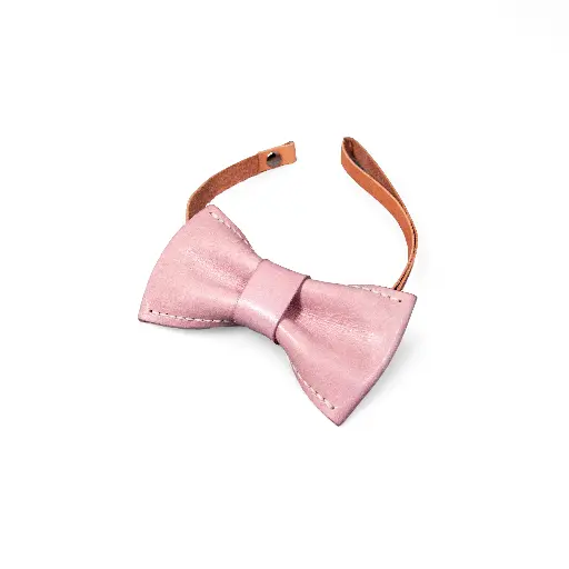 Bow Tie - BSP121