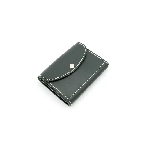 Zipper Coins Card Holder - BSP203