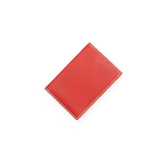Passport Cover I - BSP005